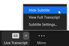 disable subtitles